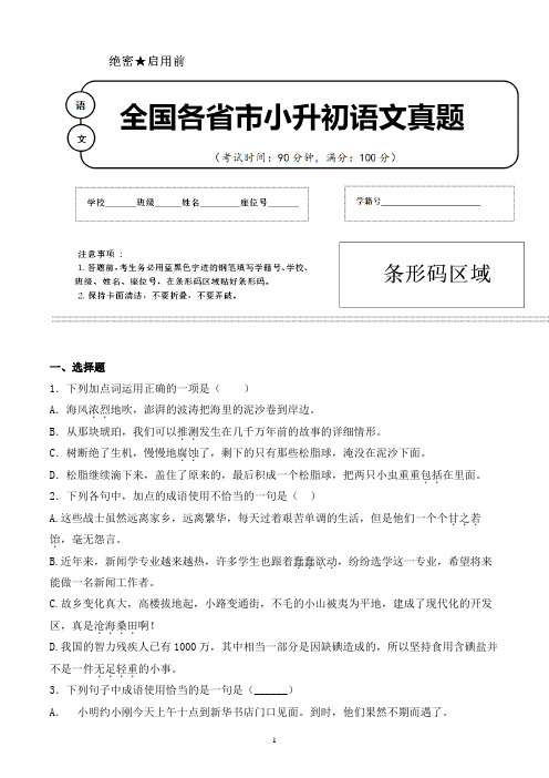 【小升初】2020年黑龙江齐齐哈尔市小升初语文毕业会考试题含答案(全网唯一)