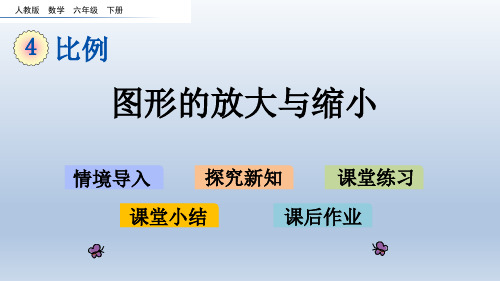 图形的放大与缩小