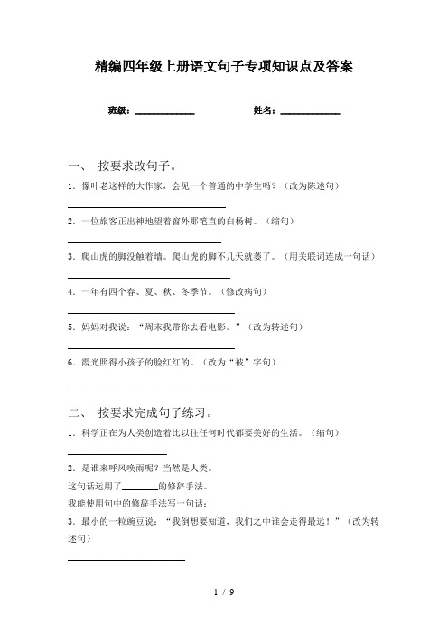 精编四年级上册语文句子专项知识点及答案