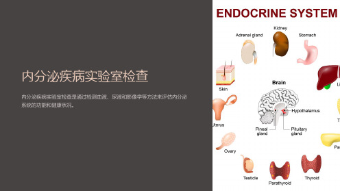 内分泌疾病实验室检查