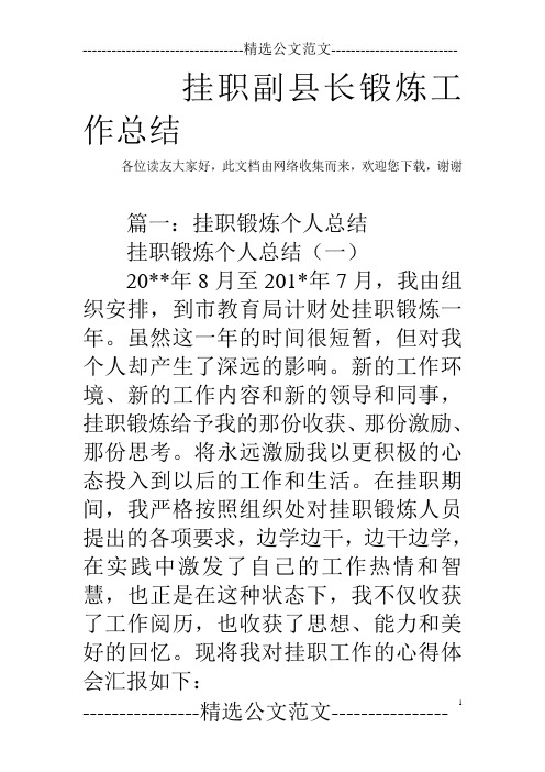 挂职副县长锻炼工作总结