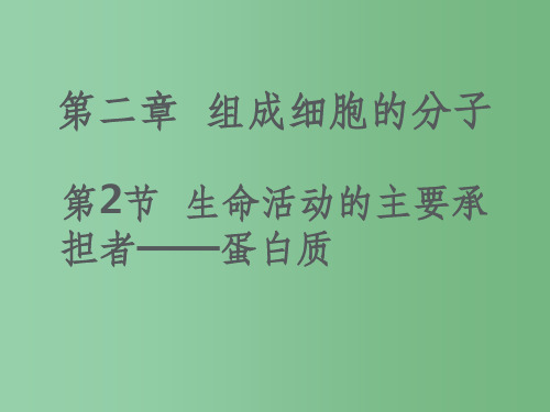 (教师参考)高中生物 2.2 生命活动的主要承担者 蛋白质课件6 新人教版必修1