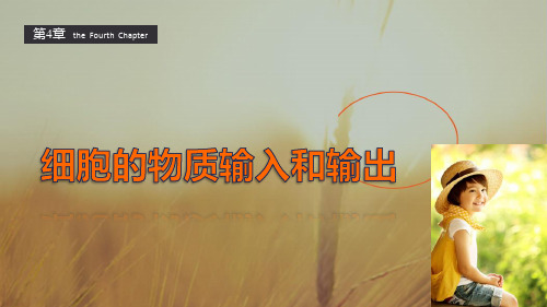 2018生物必修1课件:章末整合四