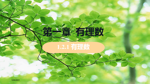 七年级数学上册 第1章 有理数 1.2 有理数 1.2.1 有理数教学课件上册数学课件