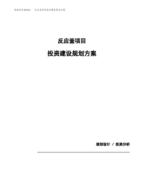 反应釜项目投资建设规划方案(模板)