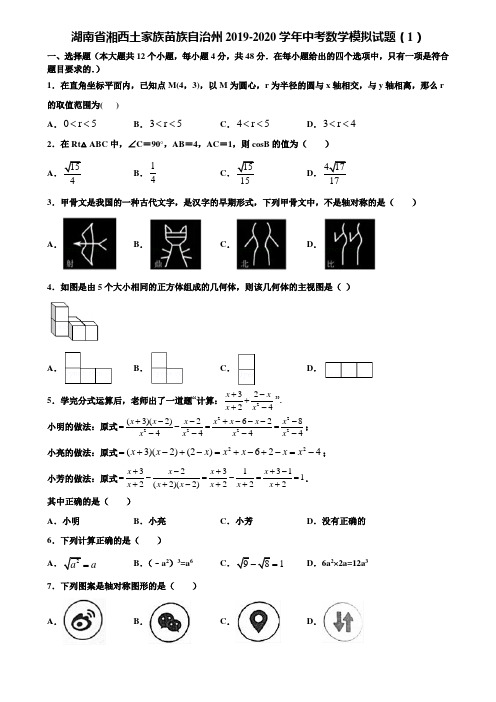 湖南省湘西土家族苗族自治州2019-2020学年中考数学模拟试题(1)含解析