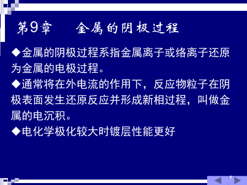 12电化学教程第9-10章