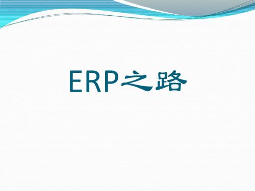 管理信息系统案例分析--ERP之路