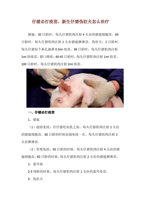 仔猪必打疫苗,新生仔猪伪狂犬怎么治疗