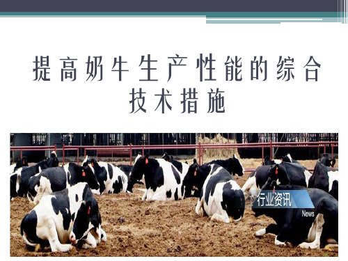 提高奶牛生产性能的综合技术措施