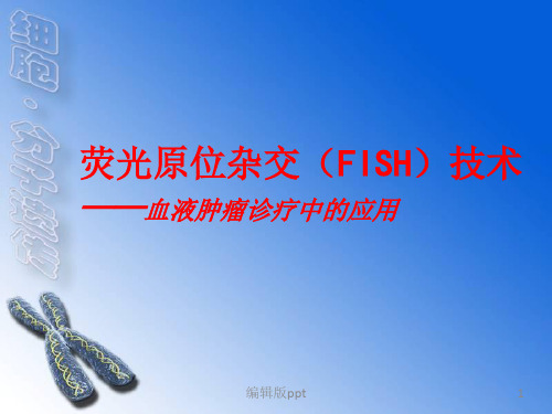 FISH技术在血液疾病诊断中的应用ppt课件