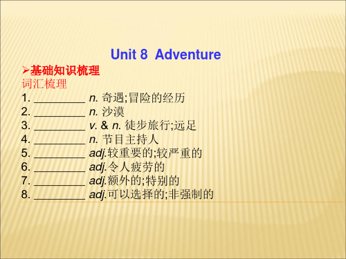 2014高考英语总复习课件 unit 8 adventure