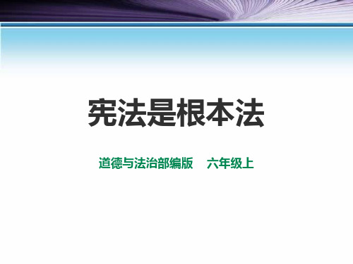 2宪法是根本法  第一课时 课件