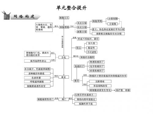 2013高考生物(苏教版)二轮复习课件 1-5单元整合提升