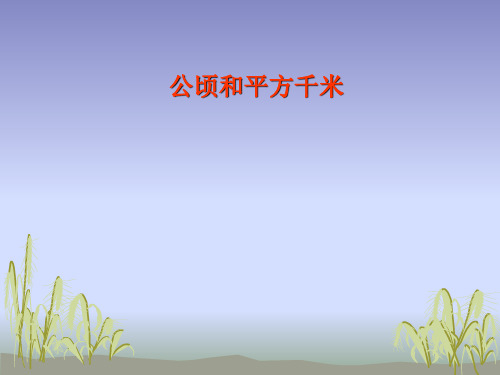 四年级上册数学课件 第二章公顷和平方千米 人教新课标秋 (共19张PPT)