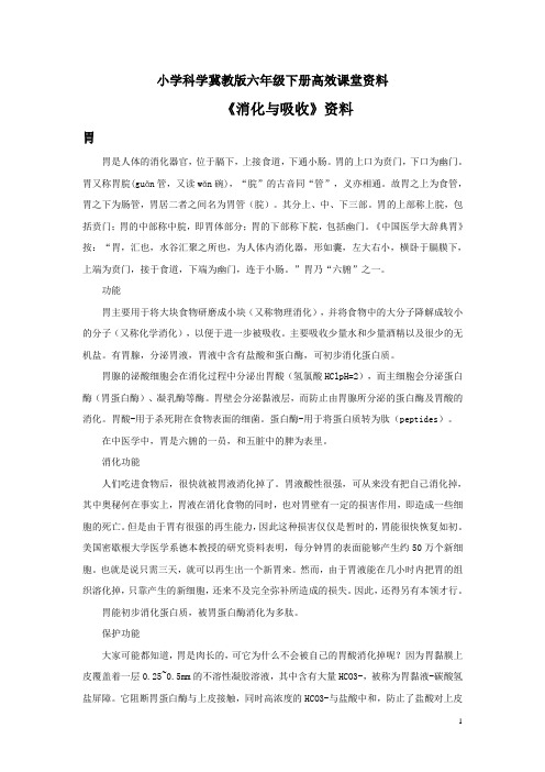 小学科学冀教版六年级下册高效课堂资料《消化与吸收》资料胃
