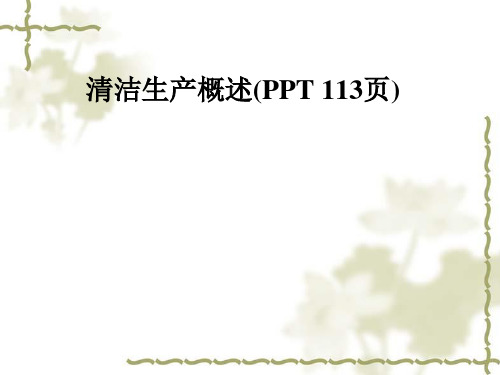 清洁生产概述(PPT 113页)