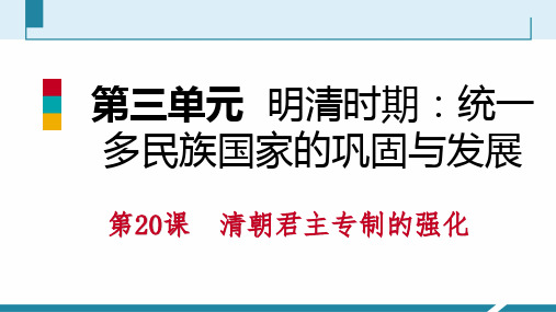 (部编版)元明清时期统一多民族国家的巩固与发展 PPT优秀课件8