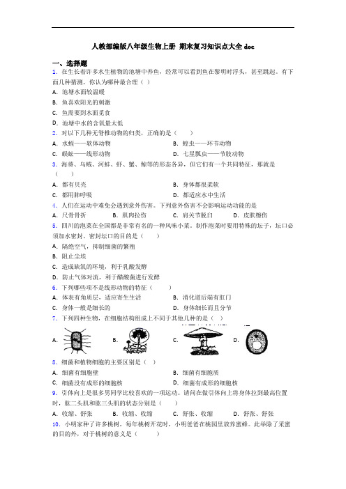 人教部编版八年级生物上册 期末复习知识点大全doc