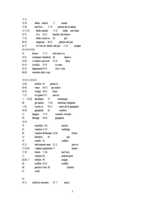 西班牙语身体各器官