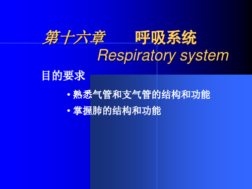 第16章呼吸系统课件