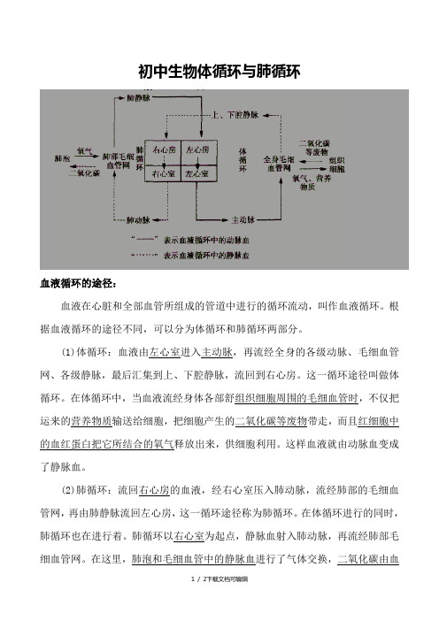 生物体循环、肺循环