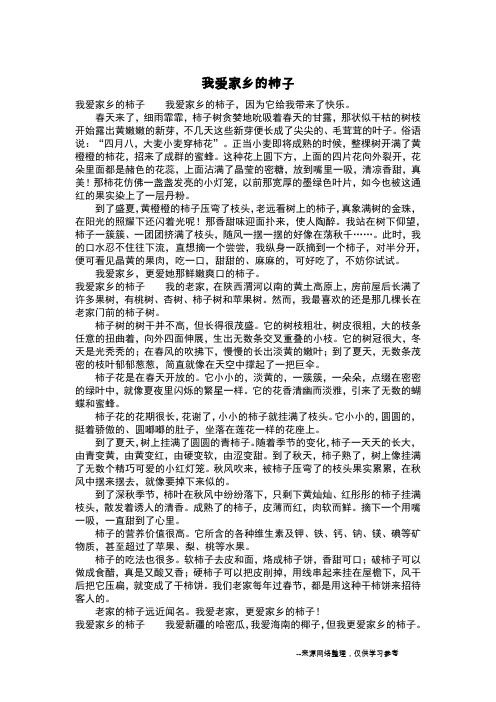 我爱家乡的柿子_六年级作文