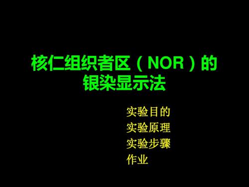 8、实验八 核仁组织者区(NOR)的银染显示法