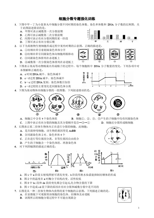 高考细胞有丝与减数分裂图像专题