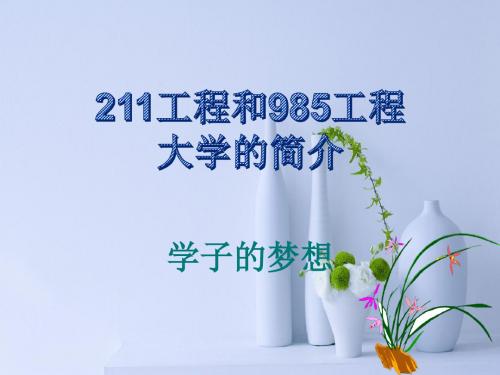 211工程和985工程大学简介课件