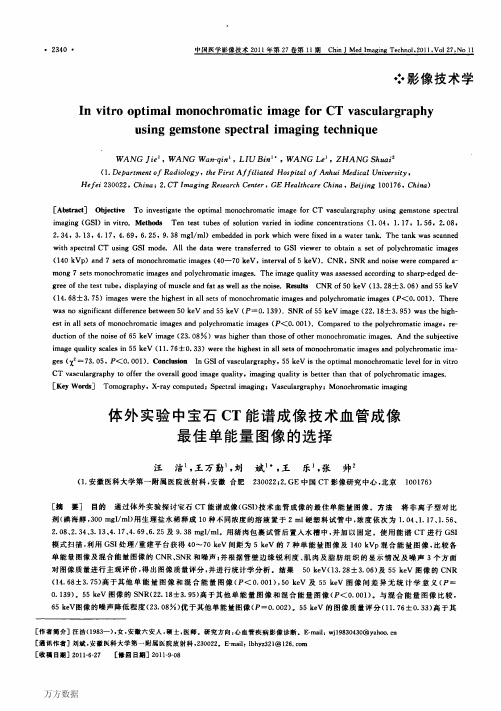 体外实验中宝石CT能谱成像技术血管成像最佳单能量图像的选择