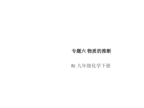 人教版九年级化学下册课件：专题六 物质的推断(共21张PPT)