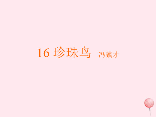 2020-2021学年新人教版五年级语文上册第四组16珍珠鸟课件.ppt
