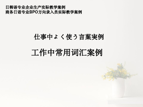 2.2.4 商务日语专业BPO方向录入员(2) 工作中常用词汇案例