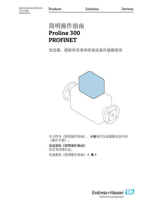 E+H科氏力质量流量计Proline300PROFINET简明操作指南