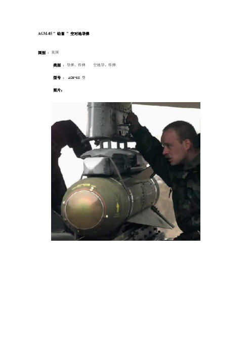 AGM-65 “ 幼畜 ” 空对地导弹