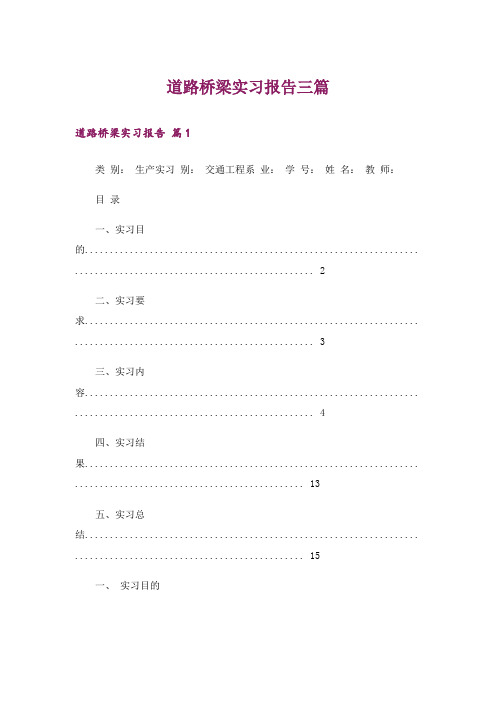 道路桥梁实习报告三篇