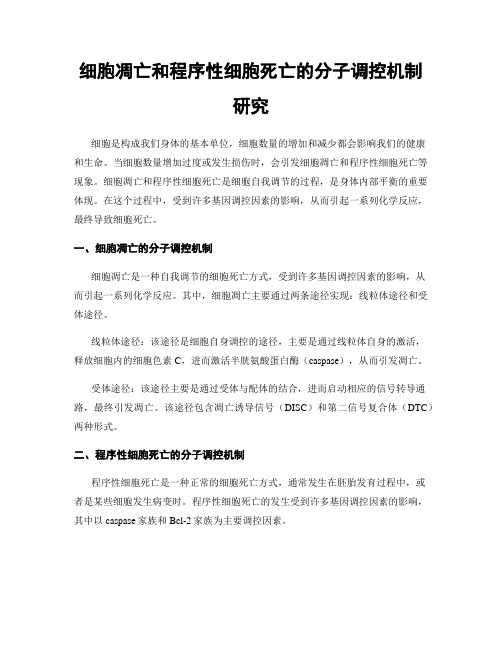 细胞凋亡和程序性细胞死亡的分子调控机制研究