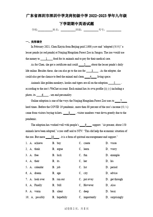 广东省深圳市深圳中学龙岗初级中学2022-2023学年九年级下学期期中英语试题