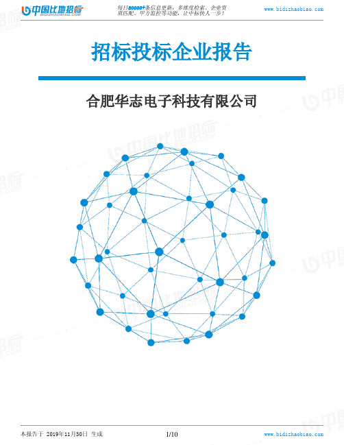 合肥华志电子科技有限公司-招投标数据分析报告