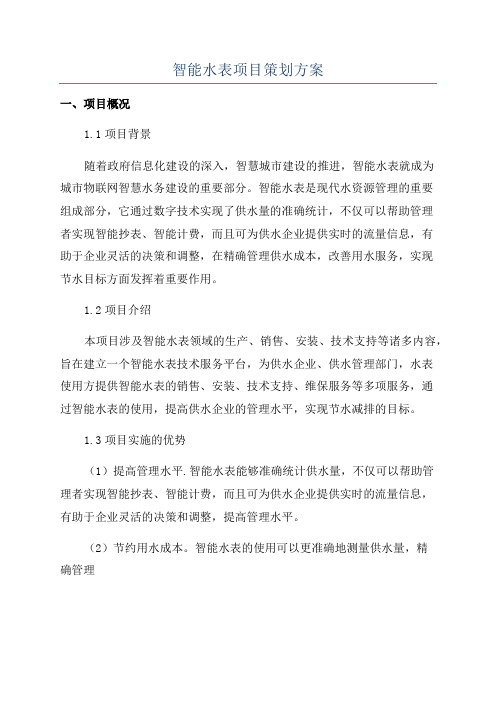 智能水表项目策划方案