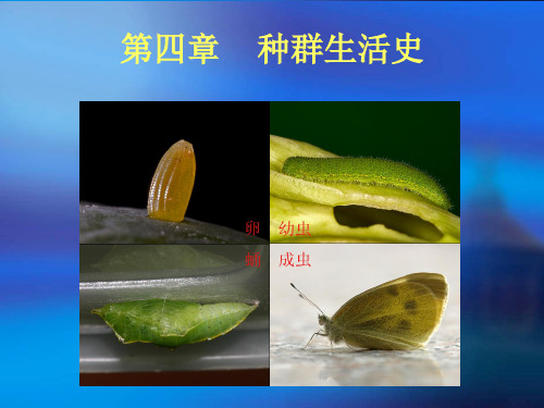 生态学第4章 种群生活史