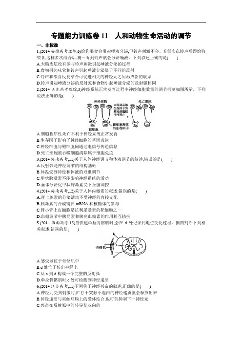 高三生物二轮总复习练习：专题能力训练卷11 人和动物生命活动的调节