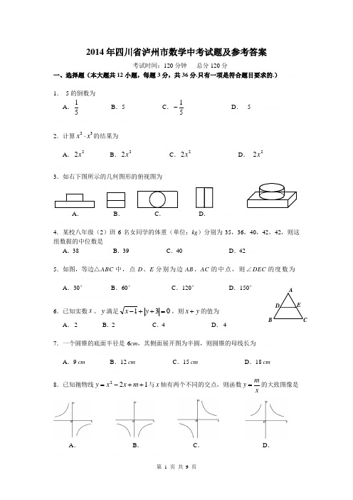 2014年四川省泸州市数学中考试题及参考答案2014年四川省泸州市数学中考试题及参考答案