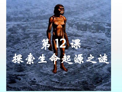 2018-2019学年度高二历史人教版必修3 课件：4.12探索生命起源之谜(共39张PPT)