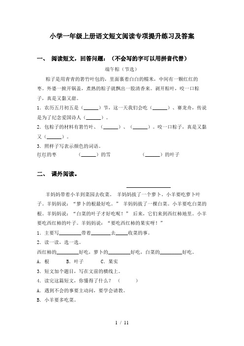 小学一年级上册语文短文阅读专项提升练习及答案