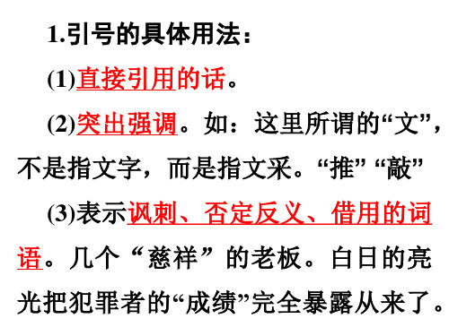 高考复习引号的用法.ppt