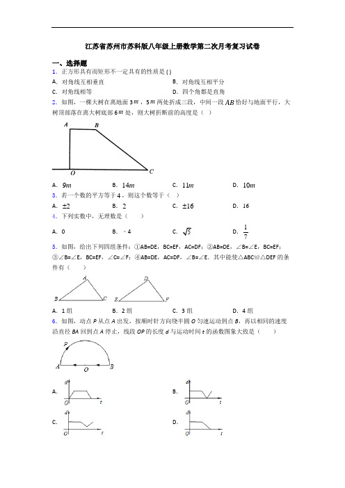 江苏省苏州市苏科版八年级上册数学第二次月考复习试卷