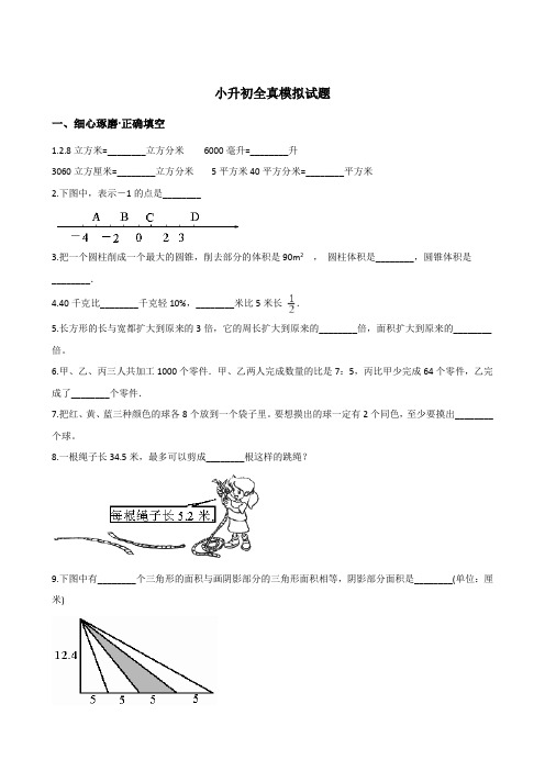 江苏省2019-2020年六年级下册数学小升初模拟试题 含答案