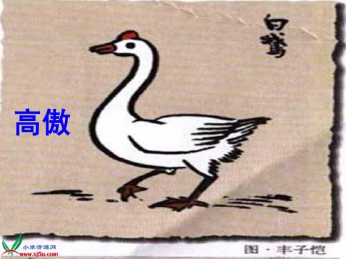 14(白公鹅)改革